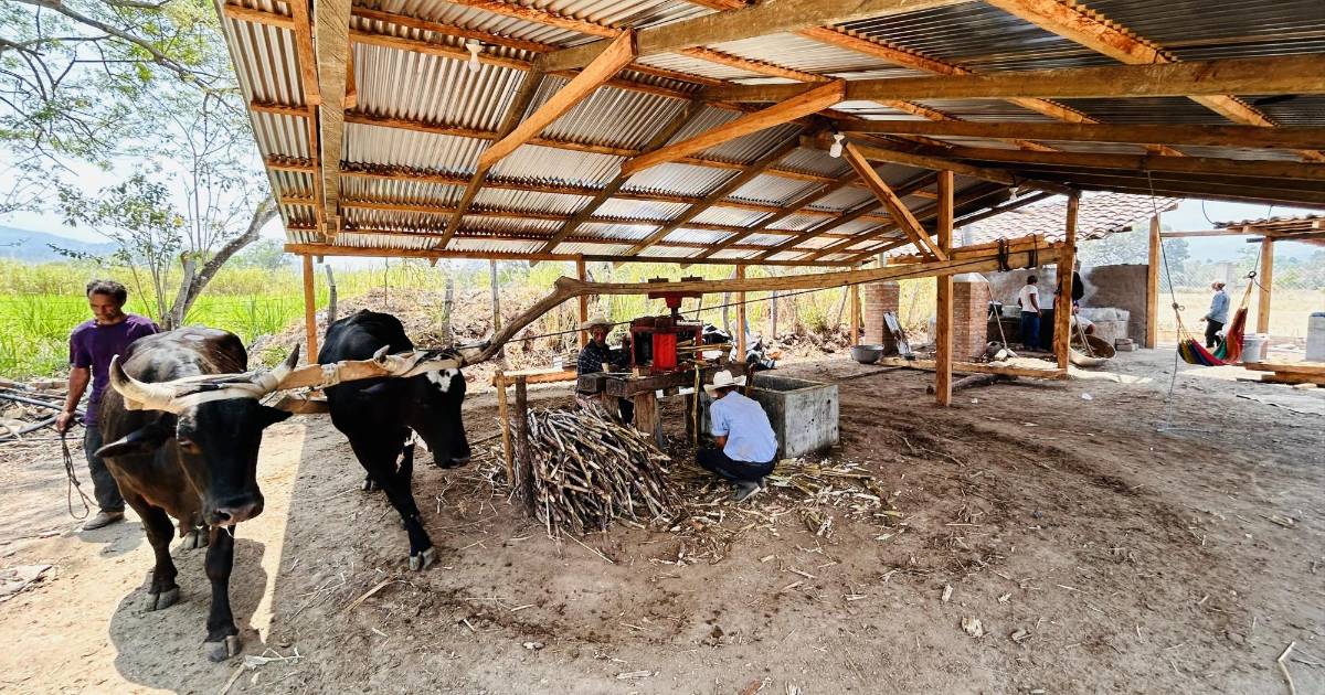 Agroturismo en Ocotepeque: una apuesta por las tradiciones